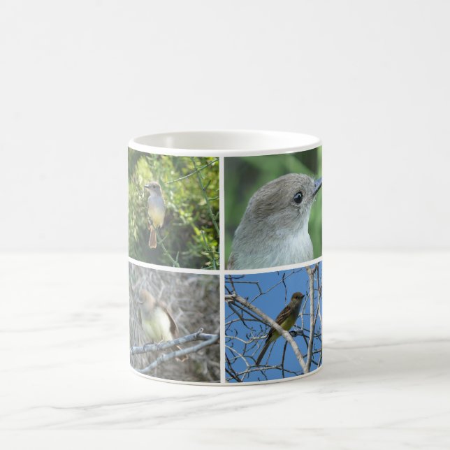 Galápagos Flycatcher Coffee Mug (Center)