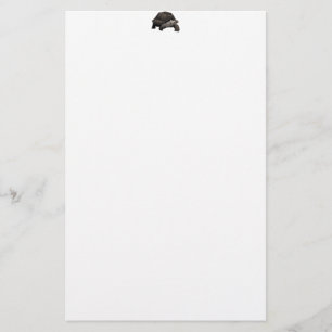 Galápagos/Galapagos Giant Tortoise Stationery