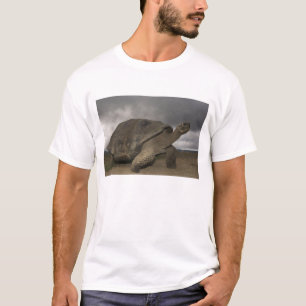 Galapagos Giant Tortoise Geochelone T-Shirt
