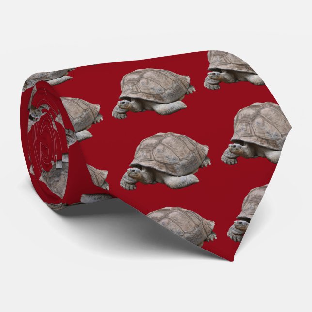 Galápagos giant tortoise tie (Rolled)