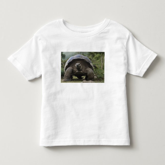 Galapagos Giant Tortoises Geochelone Toddler T-Shirt (Front)