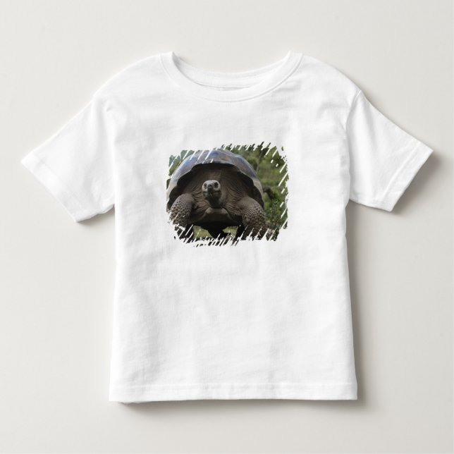 Galapagos Giant Tortoises Geochelone Toddler T-Shirt (Front)