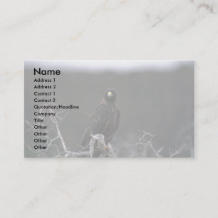 Galapagos Hawk Business Card