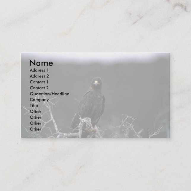 Galapagos Hawk Business Card (Front)