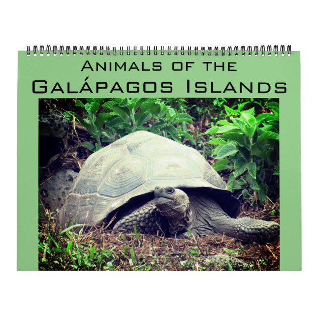 galapagos islands animals 2027 large calendar (Cover)