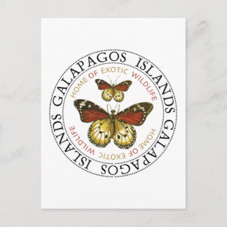 Galapagos Islands Butterflies Postcard