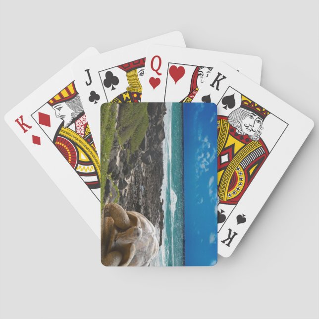 Galapagos Islands, Ecuador Playing Cards (Back)