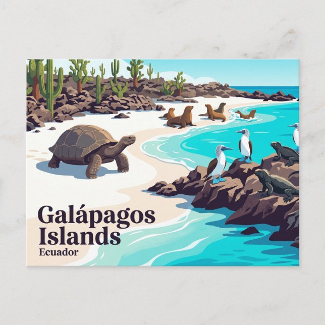 Galápagos Islands Ecuador Postcard (Front)