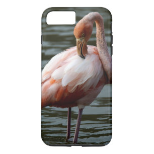 Galapagos Islands Flamingo iPhone 8 Plus/7 Plus Case