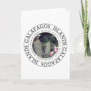 Galapagos Islands Flowering Cactus Note Card