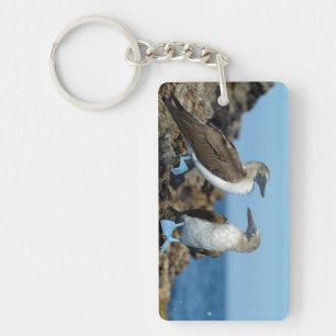 Galapagos Islands, Isabela Island Key Ring