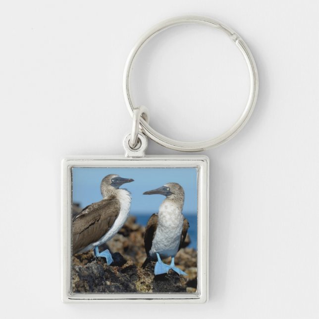 Galapagos Islands, Isabela Island Key Ring (Front)