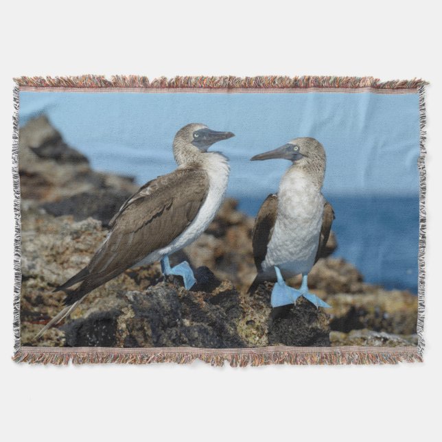 Galapagos Islands, Isabela Island Throw Blanket (Front)