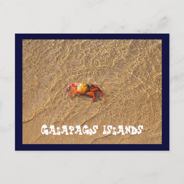 Galapagos Islands Postcard (Front)