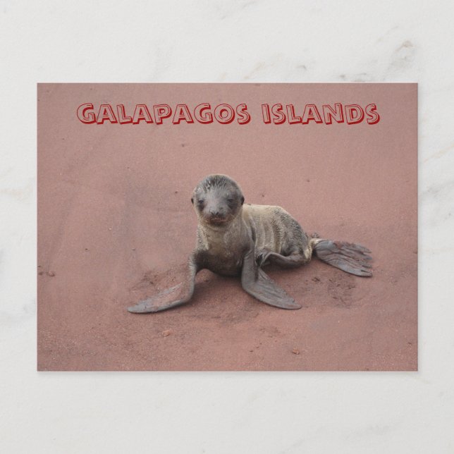 galapagos islands postcard (Front)