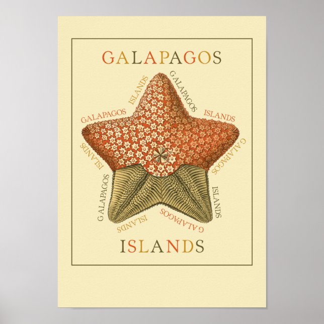 Galapagos Islands Starfish Poster (Front)