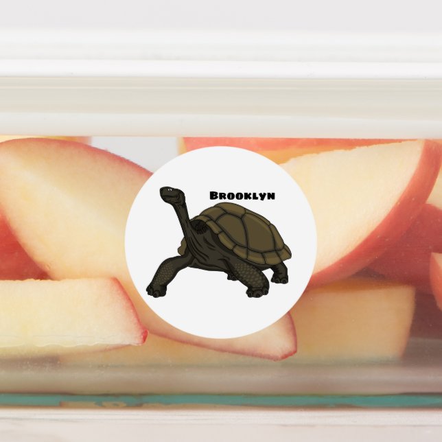 Galapagos land tortoise illustration  (Affixed)
