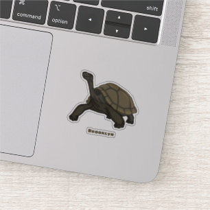 Galapagos land tortoise illustration 