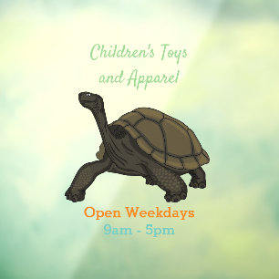 Galapagos land tortoise illustration