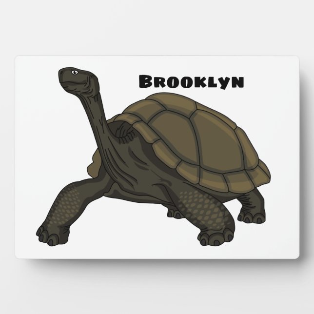 Galapagos land tortoise illustration plaque (Front)