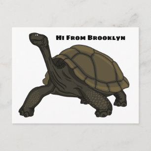 Galapagos land tortoise illustration  postcard