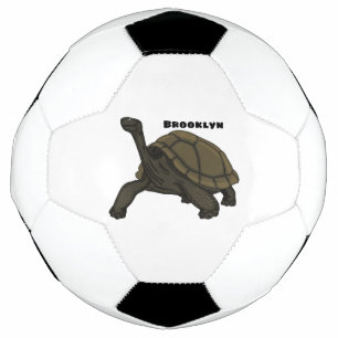 Galapagos land tortoise illustration soccer ball