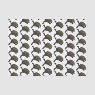 Galapagos land tortoise illustration tissue paper