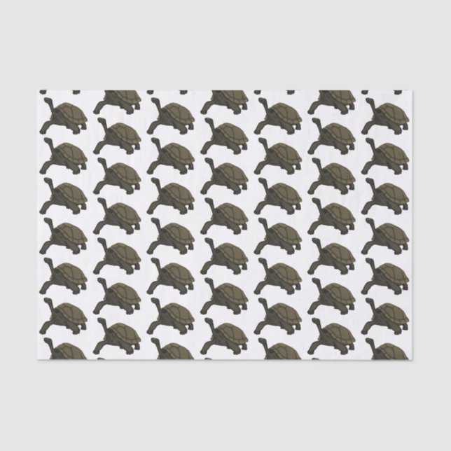 Galapagos land tortoise illustration tissue paper (Front)