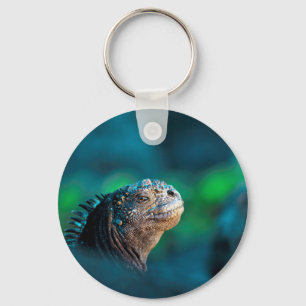 Galapagos marine iguana key ring