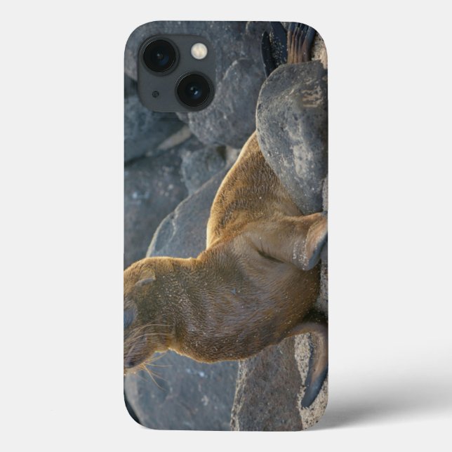 Galapagos Sea Lion Case-Mate iPhone Case (Back)