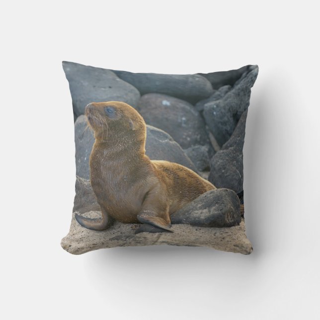 Galapagos Sea Lion Cushion (Front)