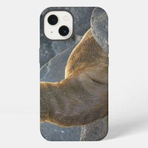 Galapagos sea lion iPhone case