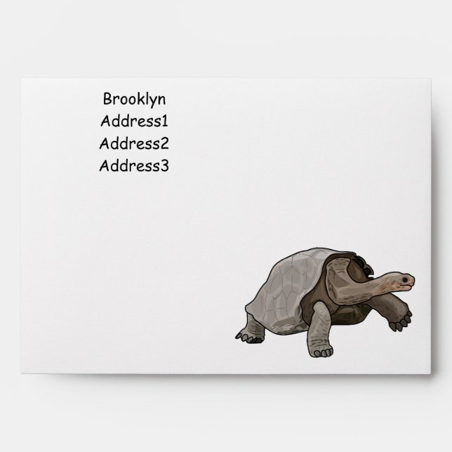 Galapagos tortoise cartoon illustration envelope (Front)
