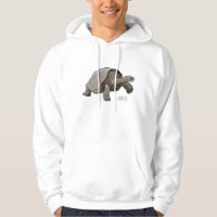 Galapagos tortoise cartoon illustration