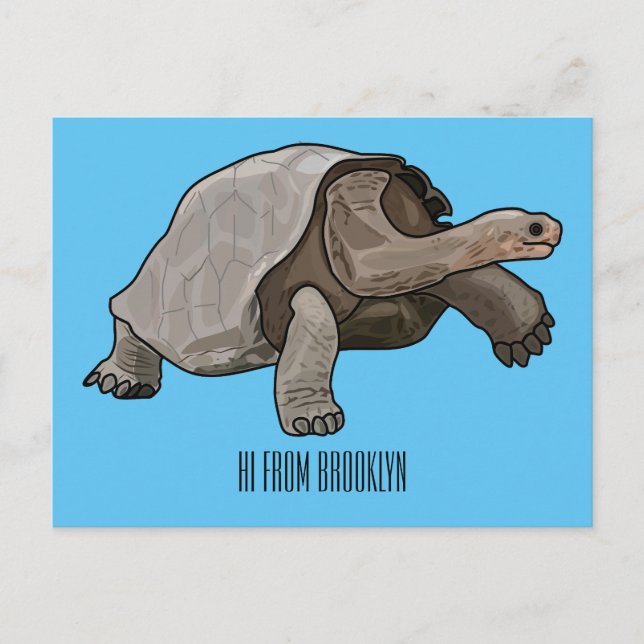 Galapagos tortoise cartoon illustration postcard (Front)
