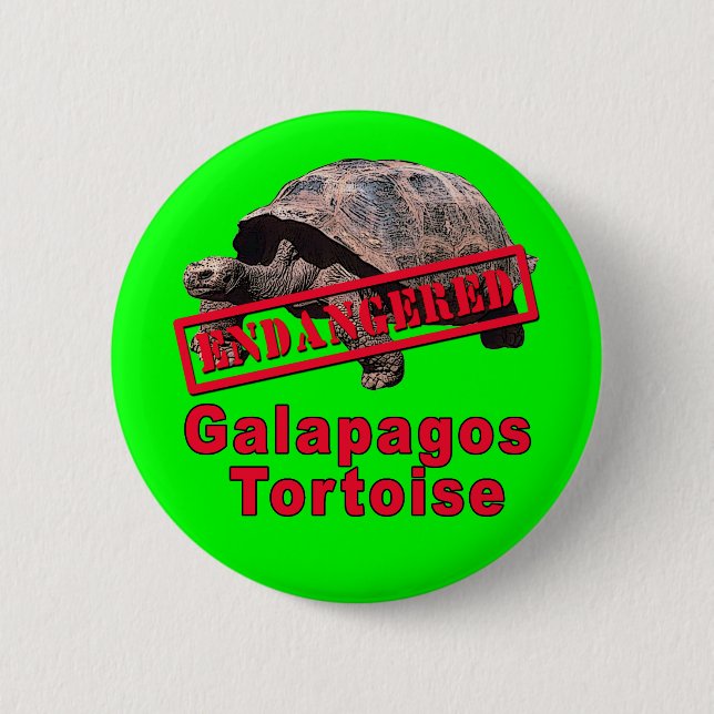 Galapagos Tortoise  Endangered Art Tshirts 6 Cm Round Badge (Front)