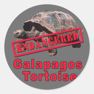 Galapagos Tortoise  Endangered Art Tshirts Classic Round Sticker
