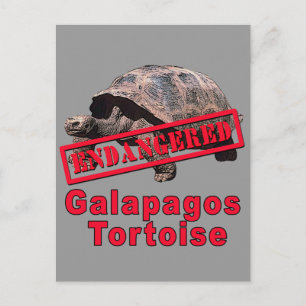 Galapagos Tortoise Endangered Art Tshirts Postcard