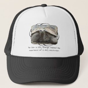 Galapagos Tortoise Hat