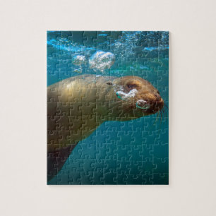 Galapagos underwater curious sea lion paradise jigsaw puzzle