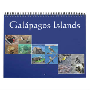 galapagos wildlife 2025 calendar