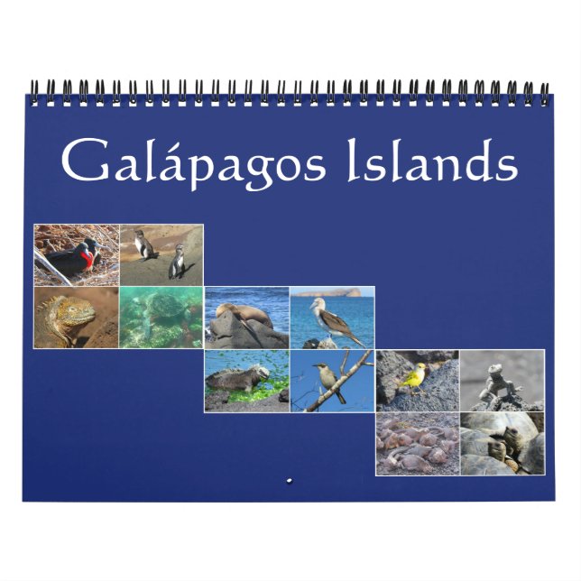 galapagos wildlife 2026 calendar (Cover)