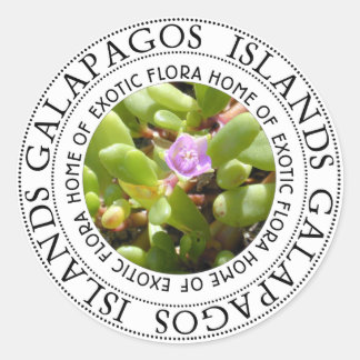 Galapgaos Islands Sesuvium Sea Purslane Stickers