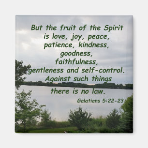 Galatians 5:22-23 magnet