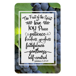 Galatians 5:22-23 The Fruit of the Spirit Magnet