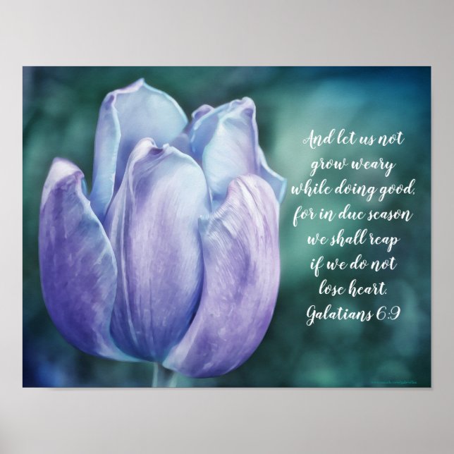 Galatians 6:9 Blue Tulip Poster (Front)