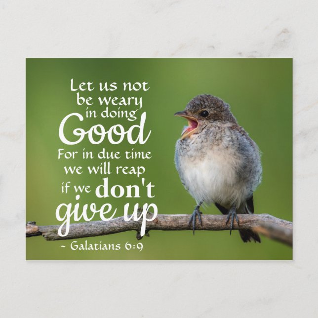 Galatians 6:9 Let us not be weary in doing good Postcard (Front)