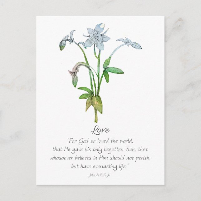 Galatians Fruit of the Spirit Love John 3 16  Postcard (Front)