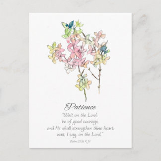 Galatians Fruit of the Spirit Patience Scripture  Postcard