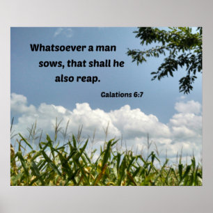 Galations 6:7 Whatsoever a man soweth... Poster